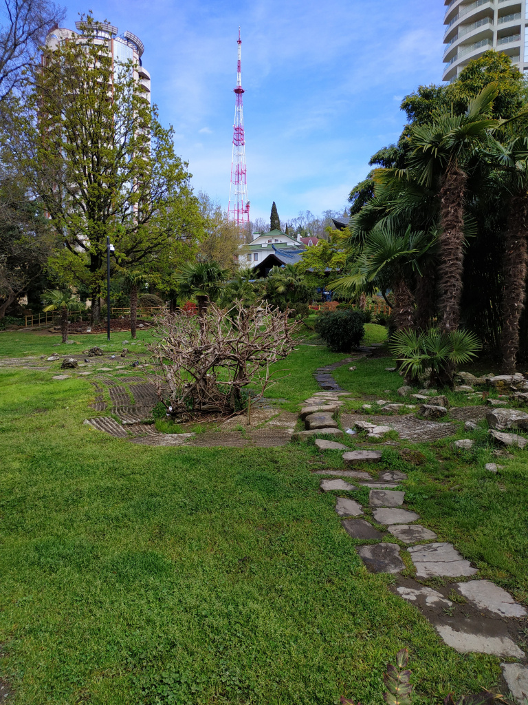 IMG_20220415_104424.jpg