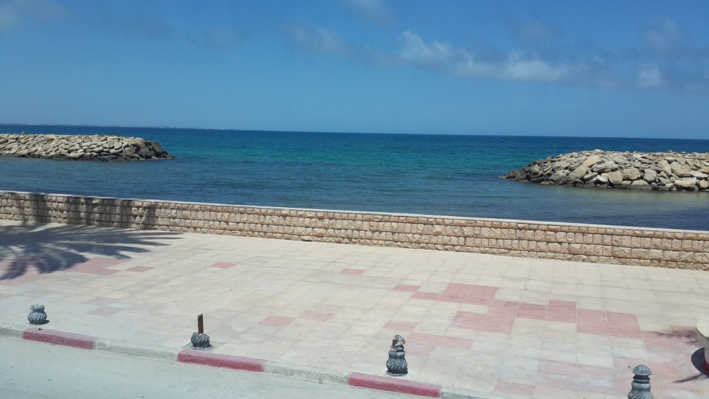 20180505_124109.jpg