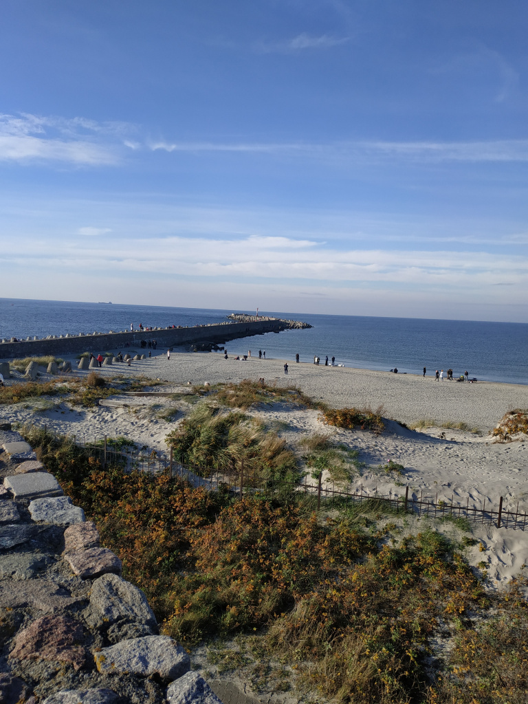 IMG_20211031_142559.jpg