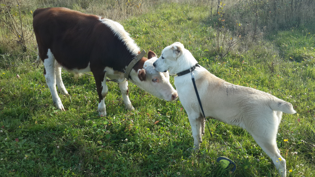 20150927_111727.jpg