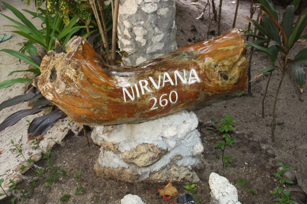 162.jpg