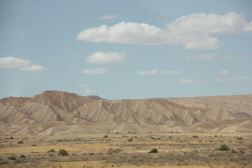 IMG_4868.JPG