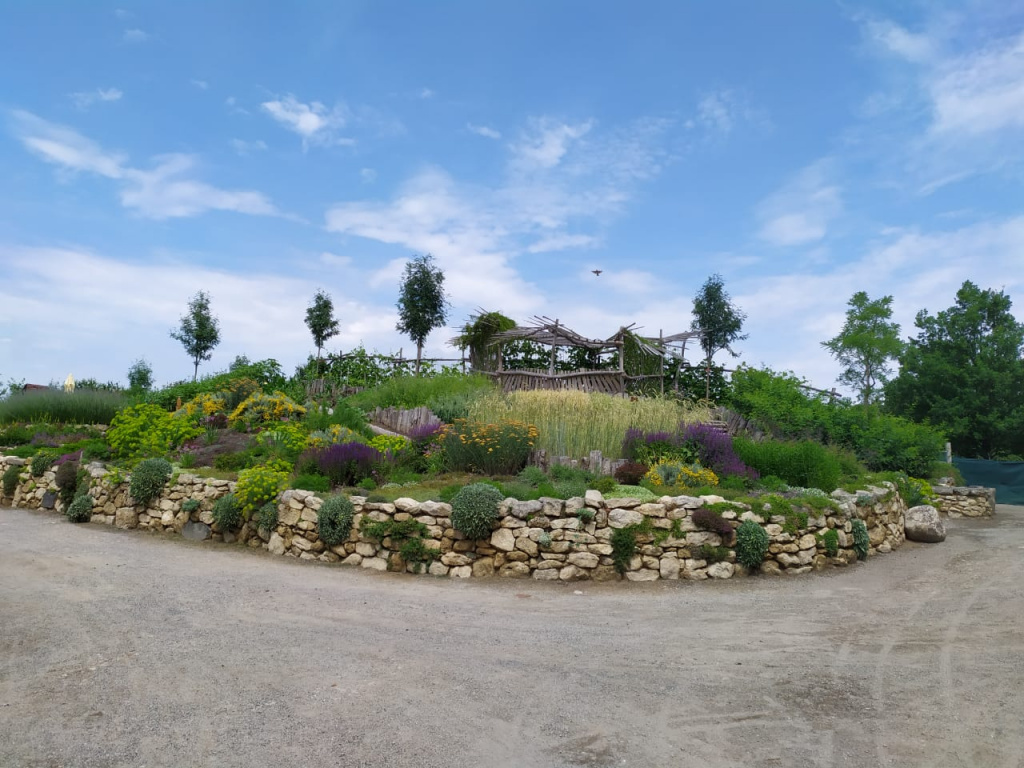 IMG-20190624-WA0009.jpg