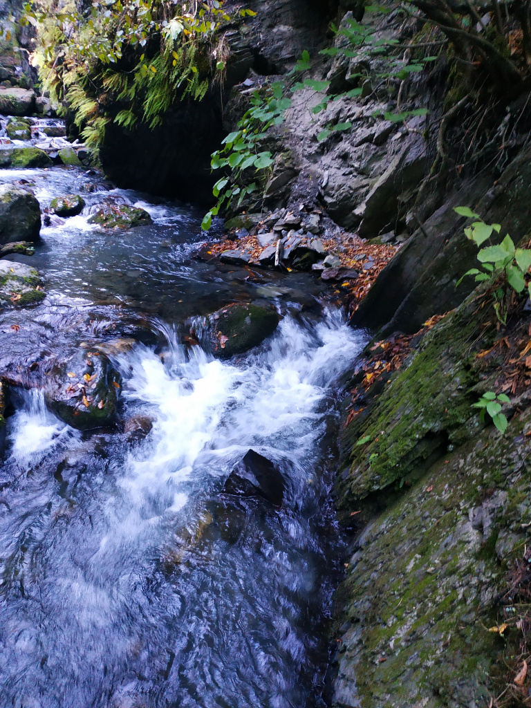 IMG_20220929_093127.jpg