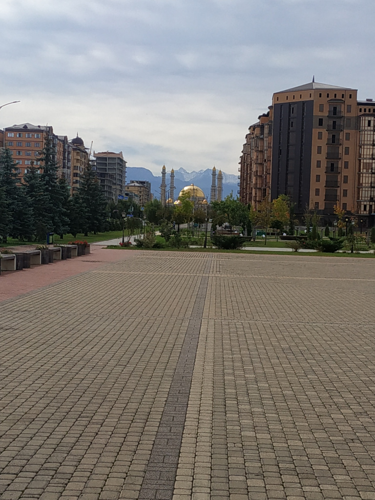 IMG_20220928_124756.jpg