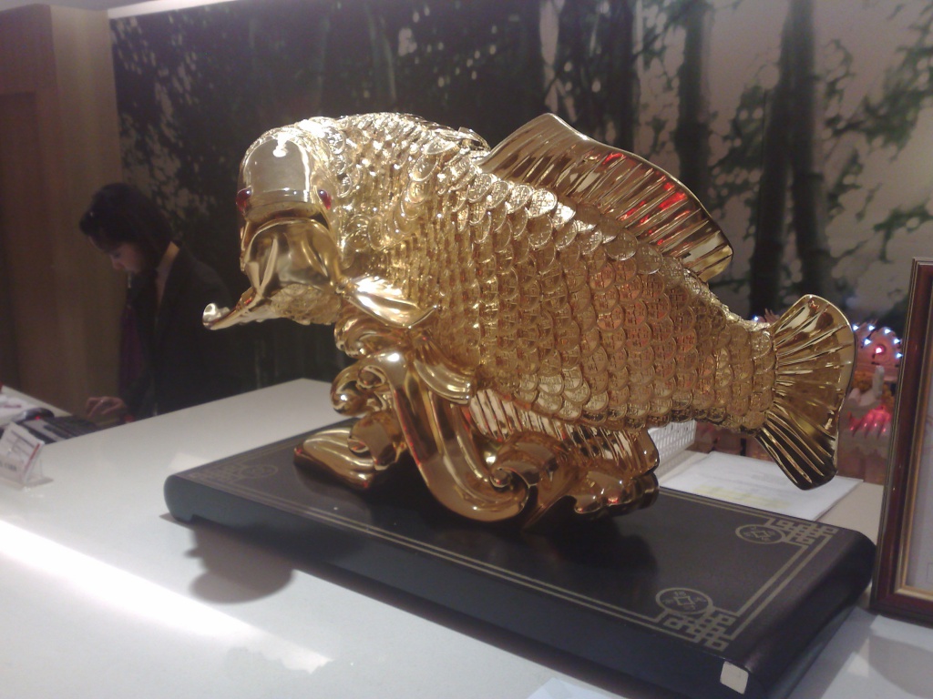 241020102569.jpg