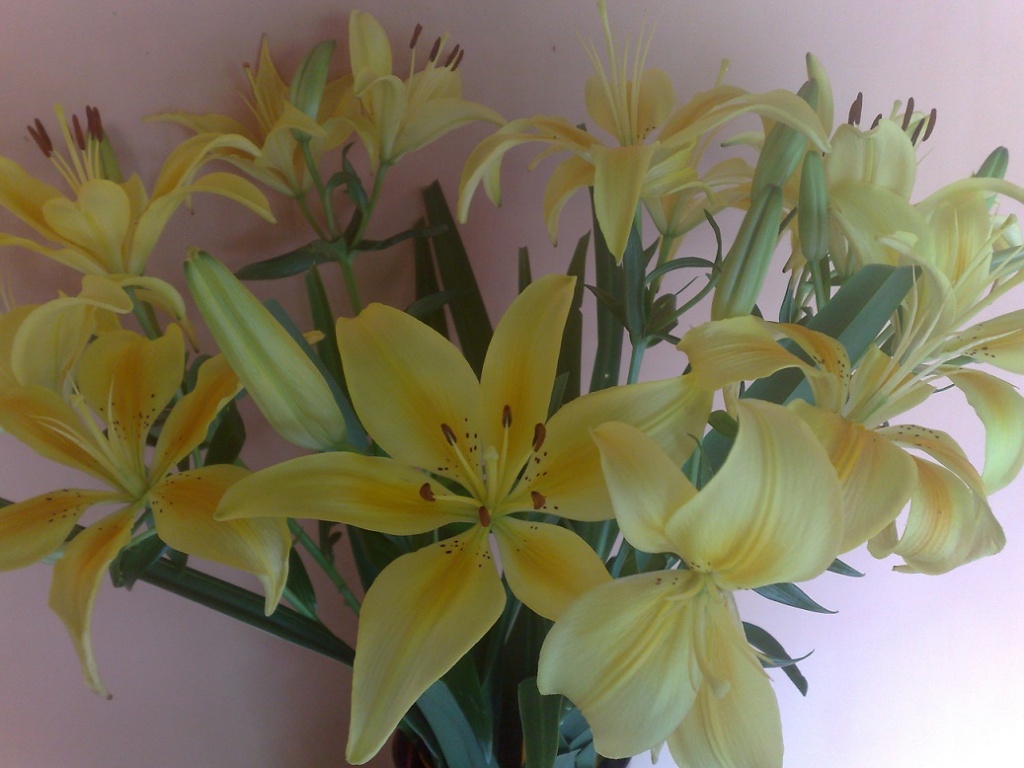 2009-10-24_12-33-42_241020091071.jpg