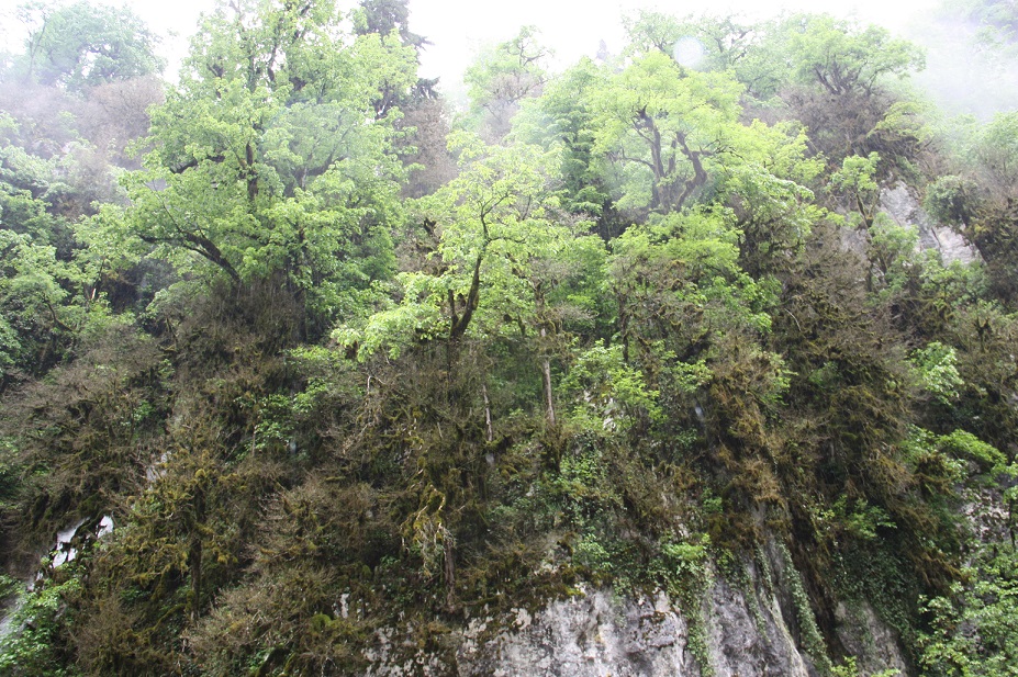 IMG_5769.JPG