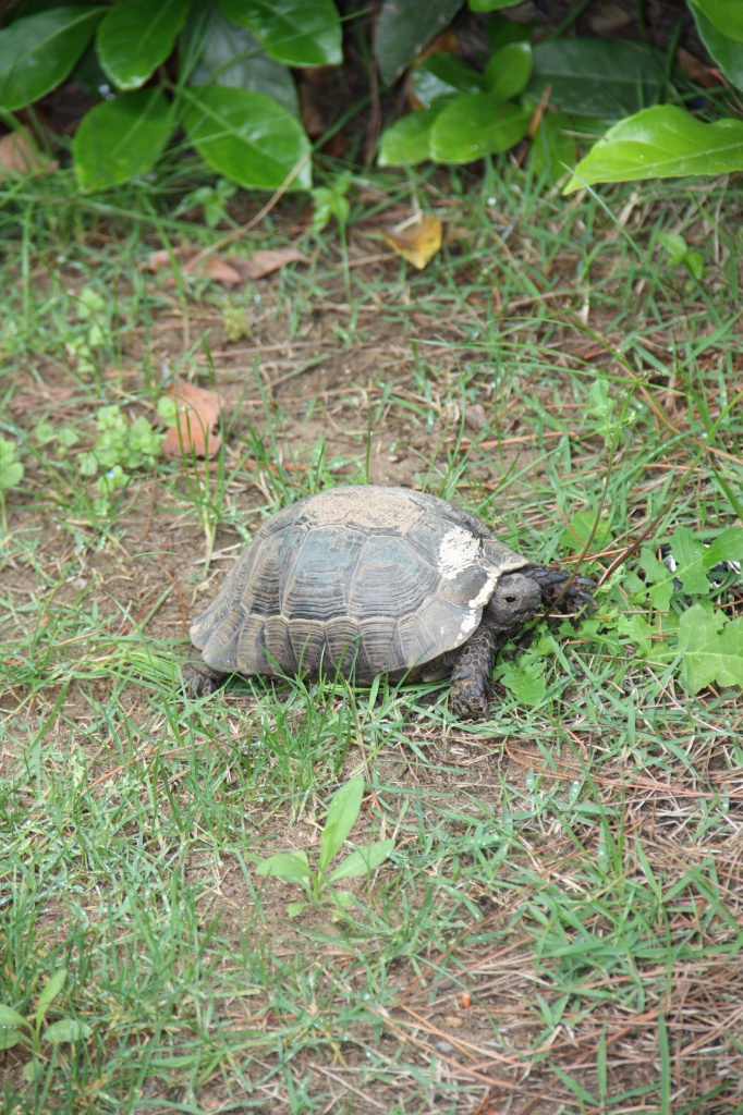 IMG_0474.JPG