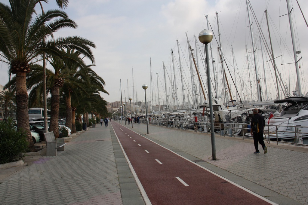 IMG_4486.JPG