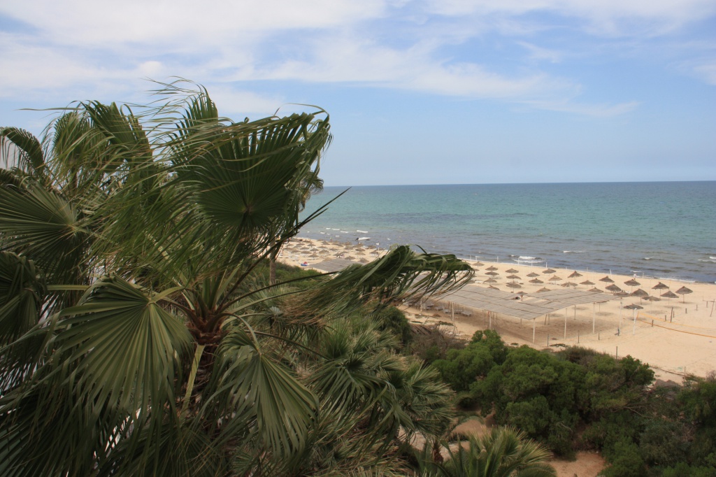 IMG_6886.JPG