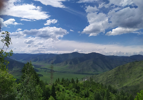 blog-image